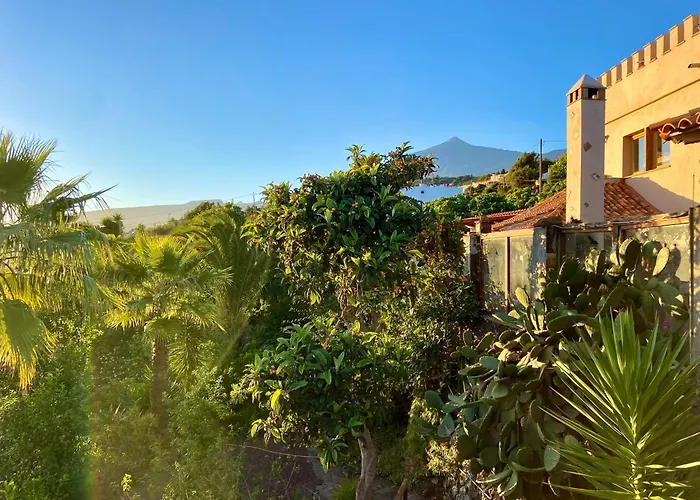 Finca Tenerife - Cozy Studio Mit Traumblick & Tropischem Garten