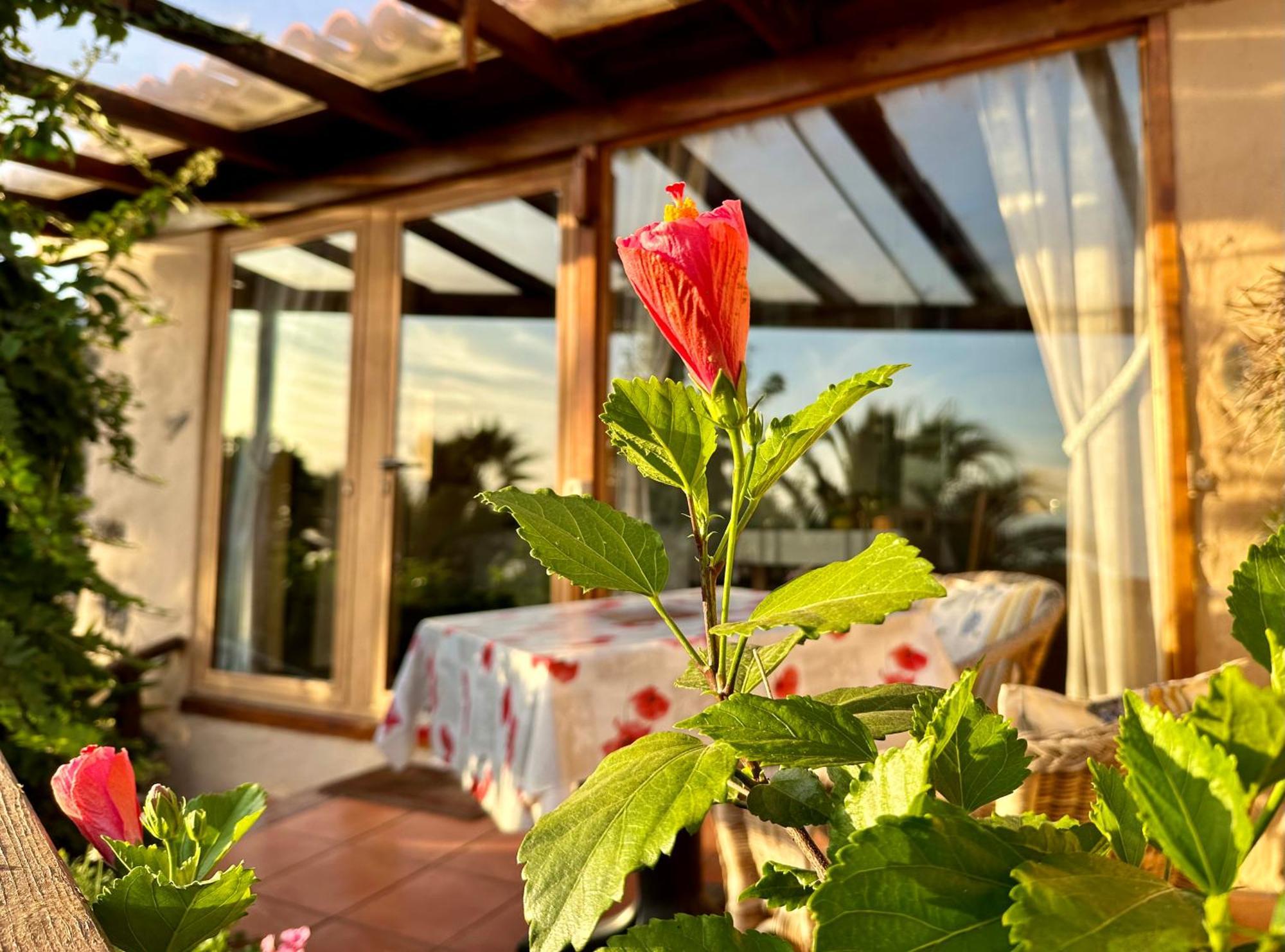 Tenerife - Cozy Mit Traumblick & Tropischem Garten Apartamento *