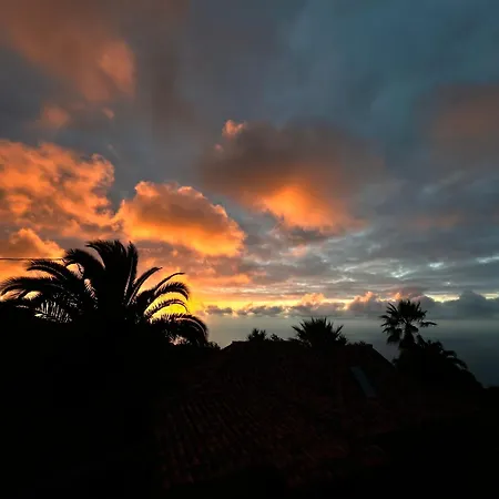 Finca Tenerife - Cozy Studio Mit Traumblick & Tropischem Garten Icod De Los Vinos Exterior photo