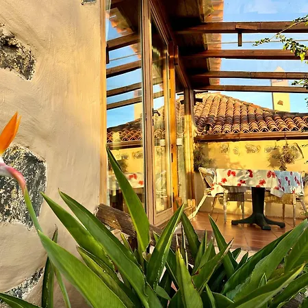 Finca Tenerife - Cozy Studio Mit Traumblick & Tropischem Garten Icod De Los Vinos Exterior photo