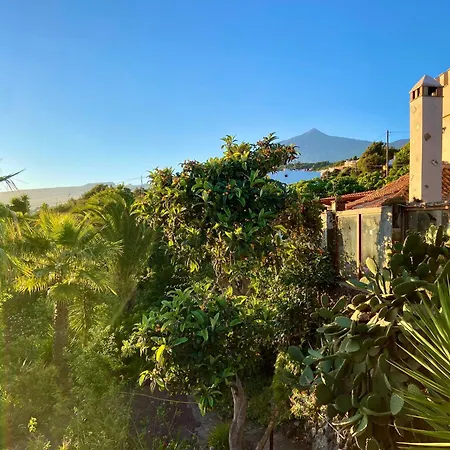 Finca Tenerife - Cozy Studio Mit Traumblick & Tropischem Garten Icod De Los Vinos Exterior photo