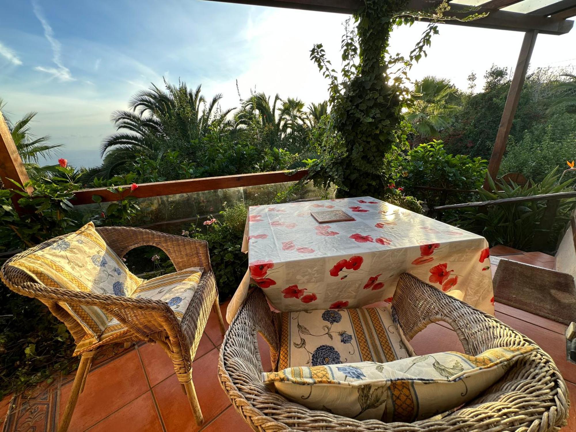 Tenerife - Cozy Mit Traumblick & Tropischem Garten Apartment Icod De Los Vinos