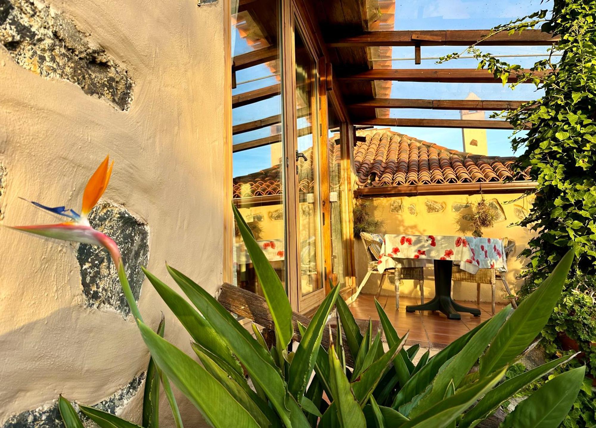 Tenerife - Cozy Mit Traumblick & Tropischem Garten Apartment Icod De Los Vinos