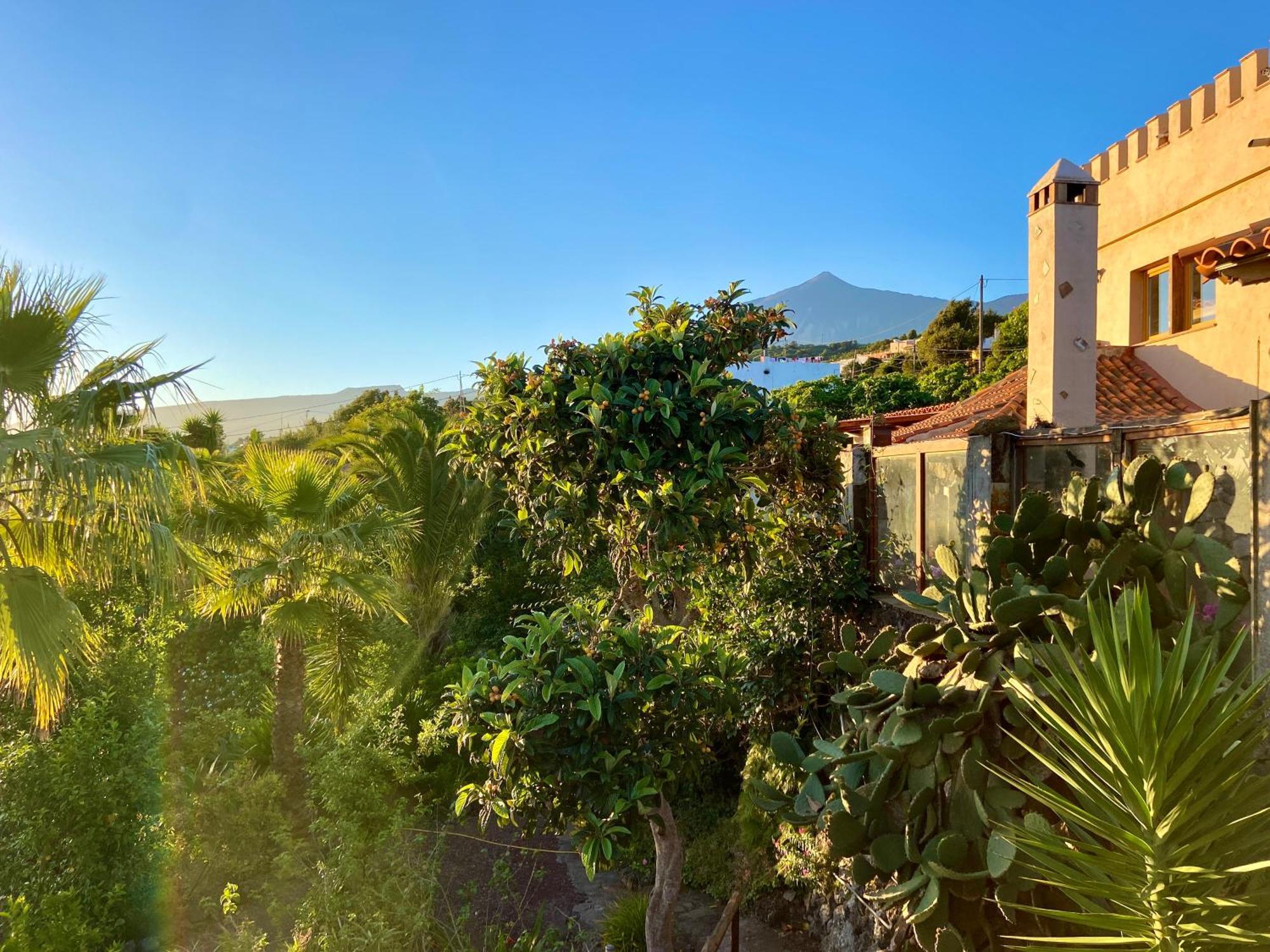 Tenerife - Cozy Mit Traumblick & Tropischem Garten Icod De Los Vinos
